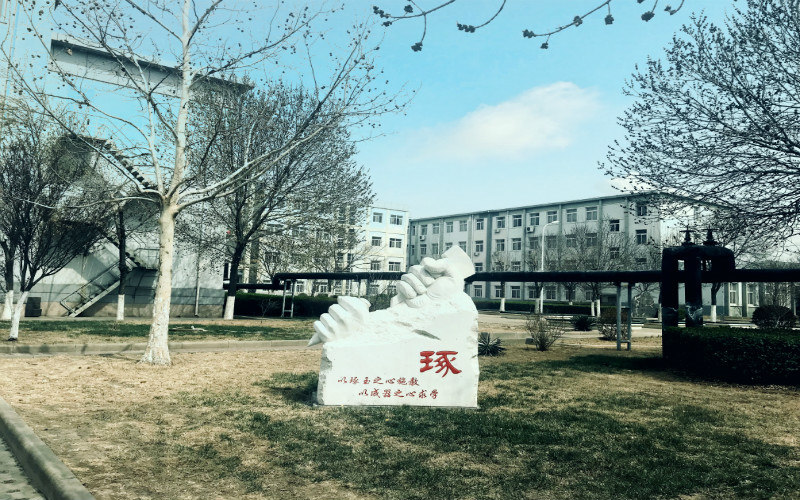 景观石