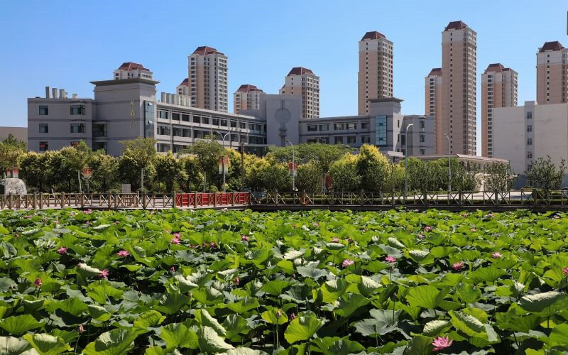 校园照片