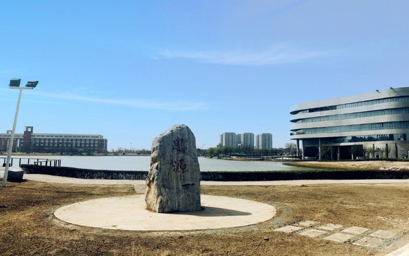 景观石