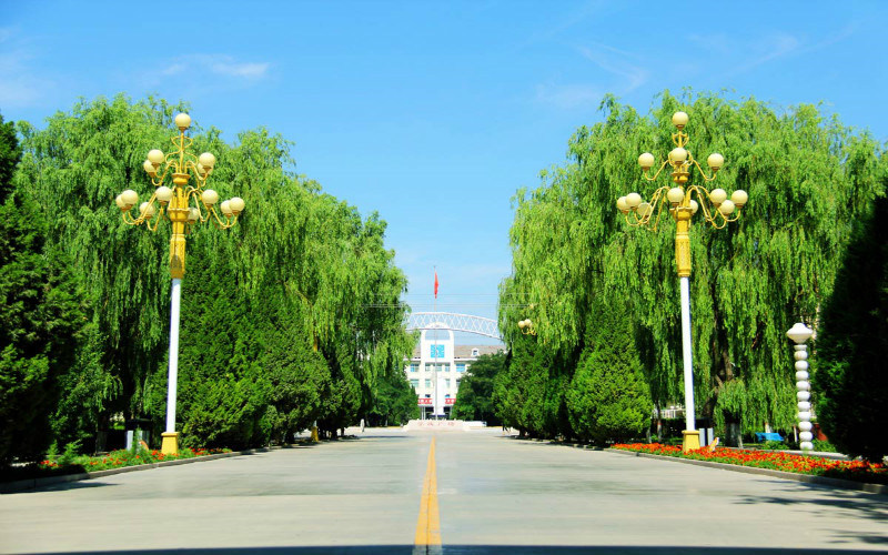 校园景色