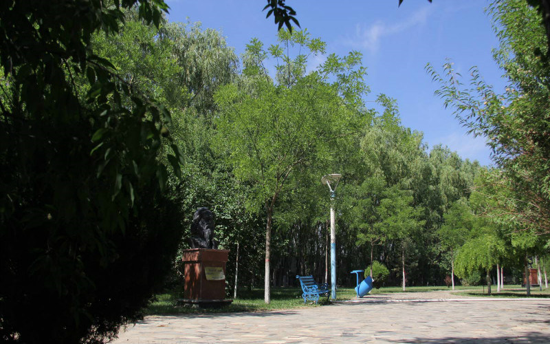 校园景观