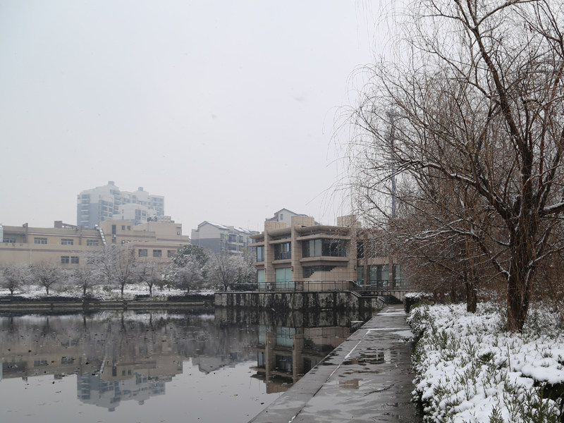 校园风景