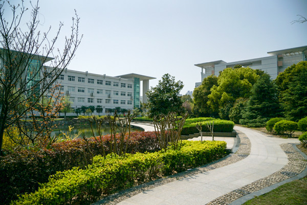 校园小路