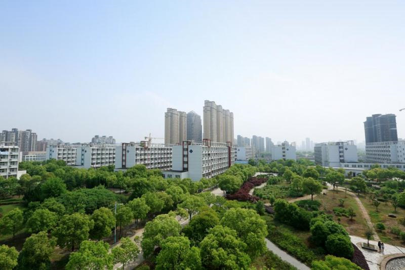 学院绿化