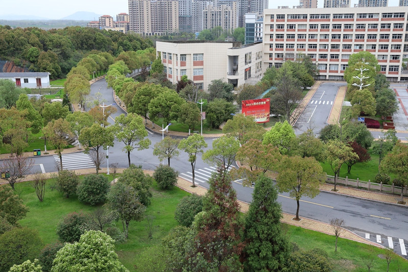学院风景