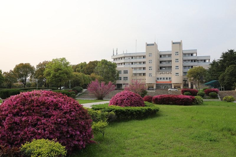 校园景色
