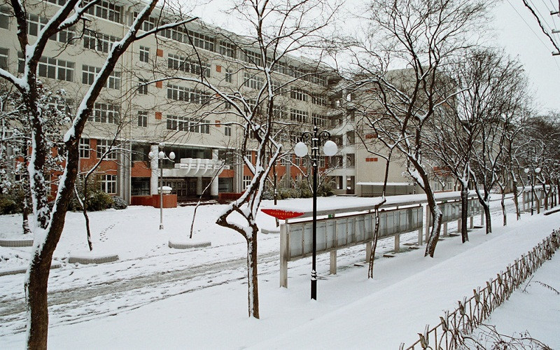 校园冬景