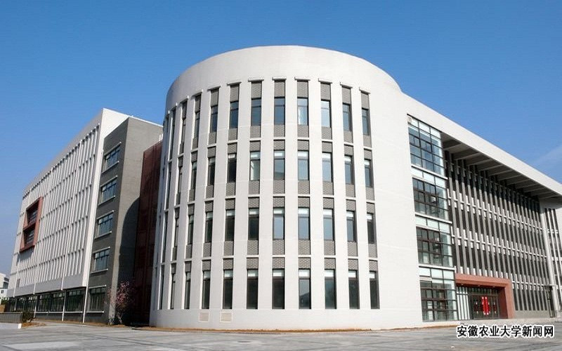 安徽农业大学首页