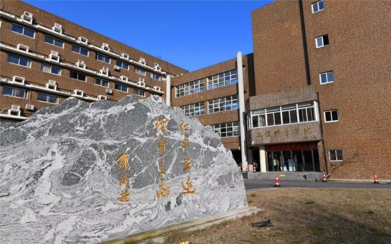 景观石