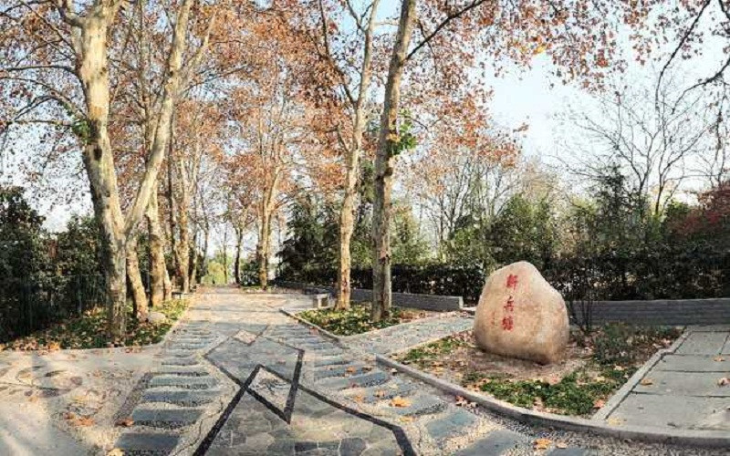 林荫小道