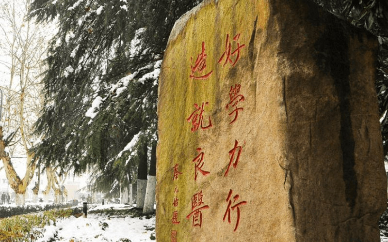 景观石