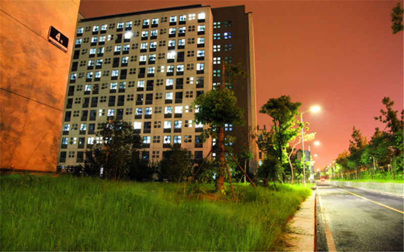 校园夜景