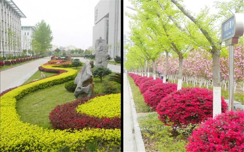 风景合集
