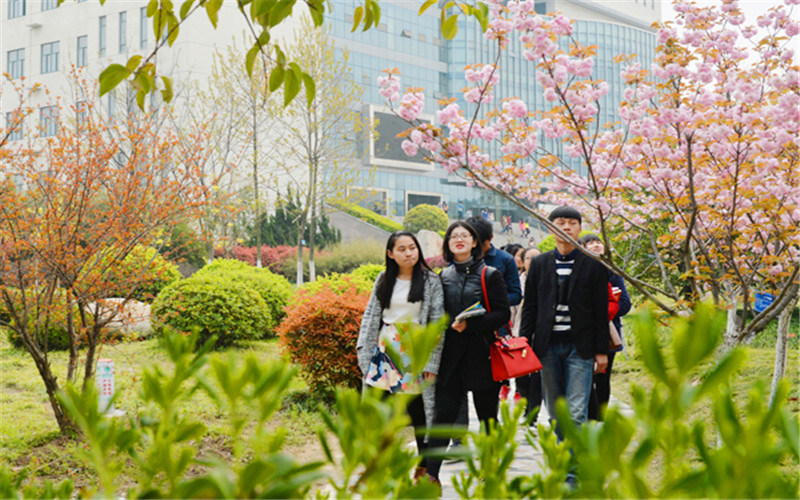 学院风景