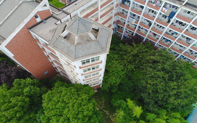 校园风光