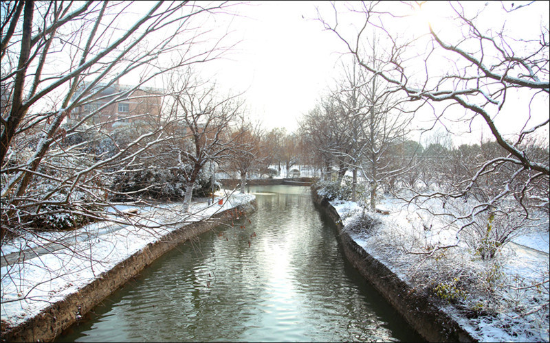 学院冬景