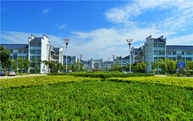 校园绿化