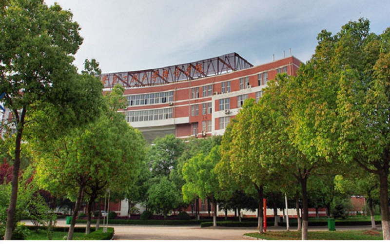 学院绿化