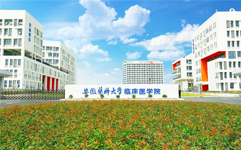 安徽医科大学临床医学院首页