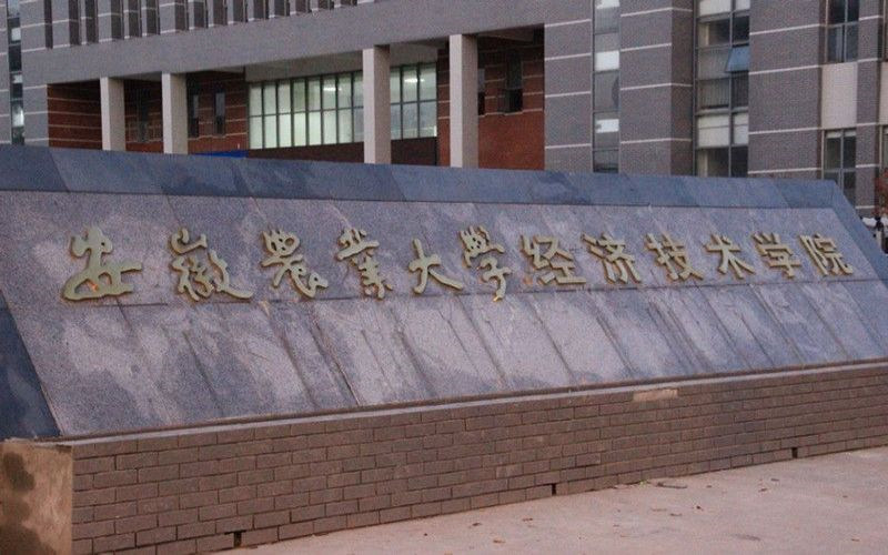 合肥经济学院首页