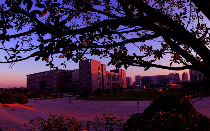 学院夜景