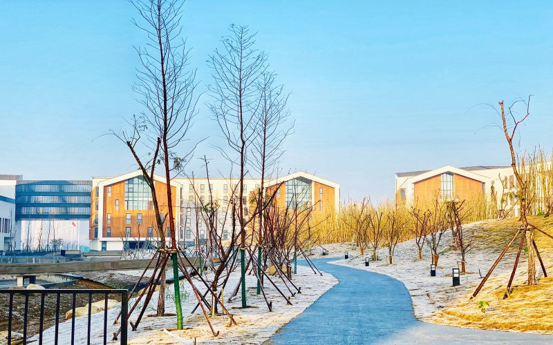 学院小路