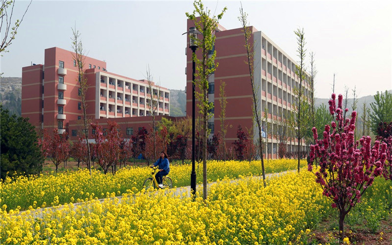 校园景观