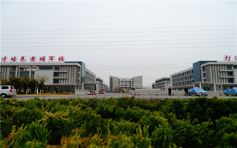 校园景色