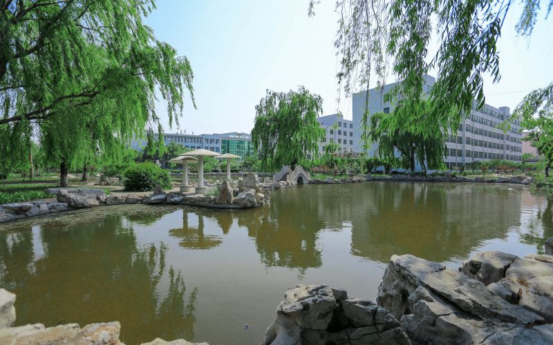 校园景色