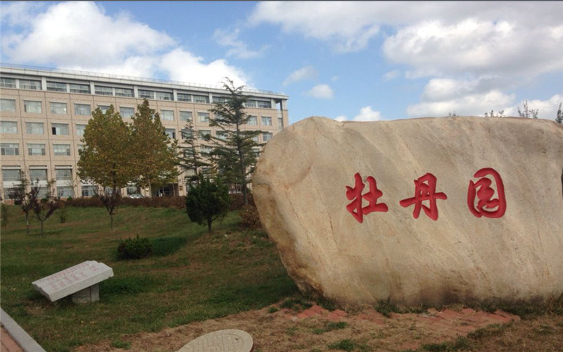 景观石