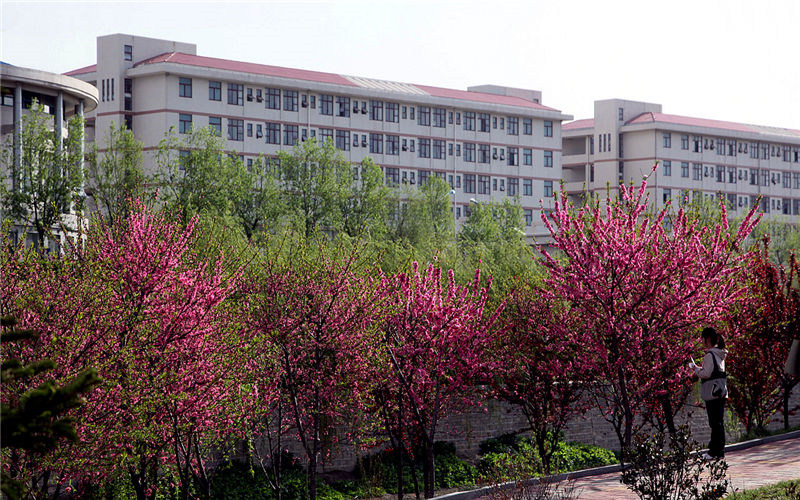 风景图片