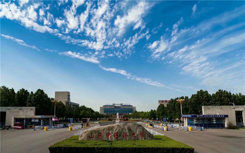 山东中医药大学首页