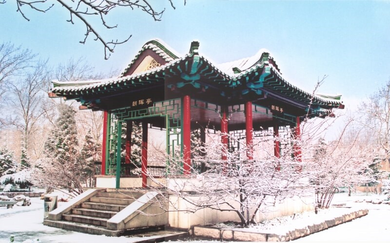 银色校园