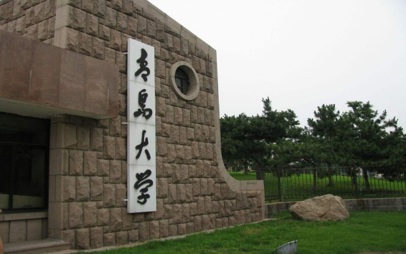 青岛大学首页