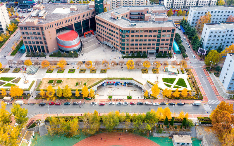 金色校园