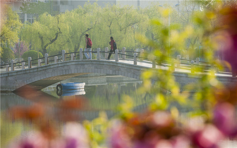 校园景色
