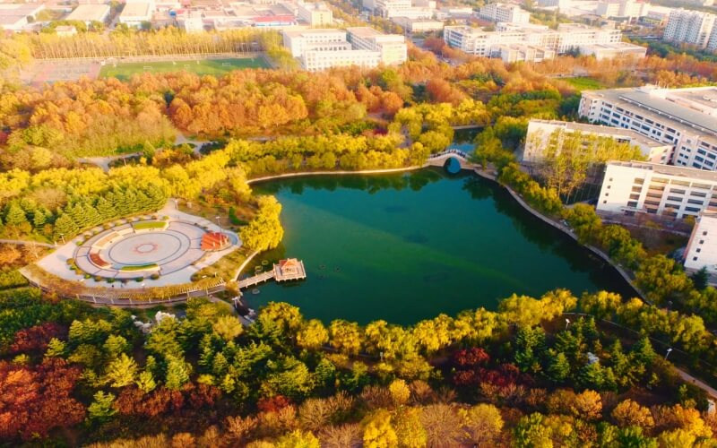 青岛农业大学首页