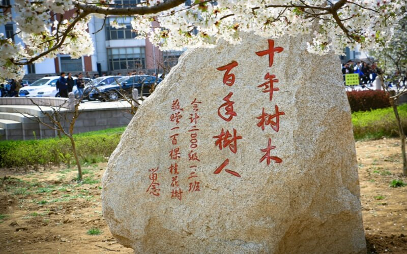 景观石