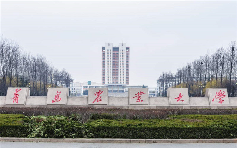 风景图片