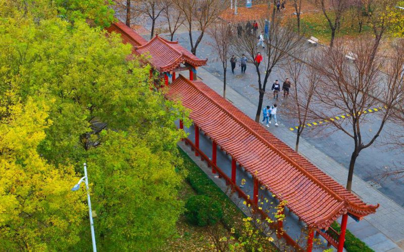 校园景色