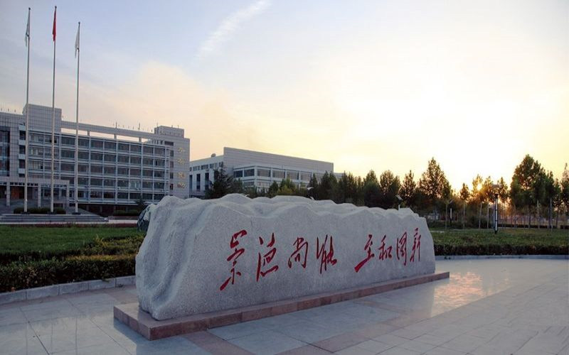 景观石
