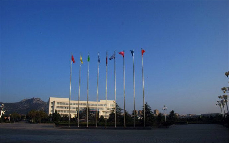 山东外事职业大学首页
