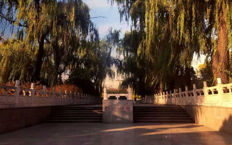 校园风景