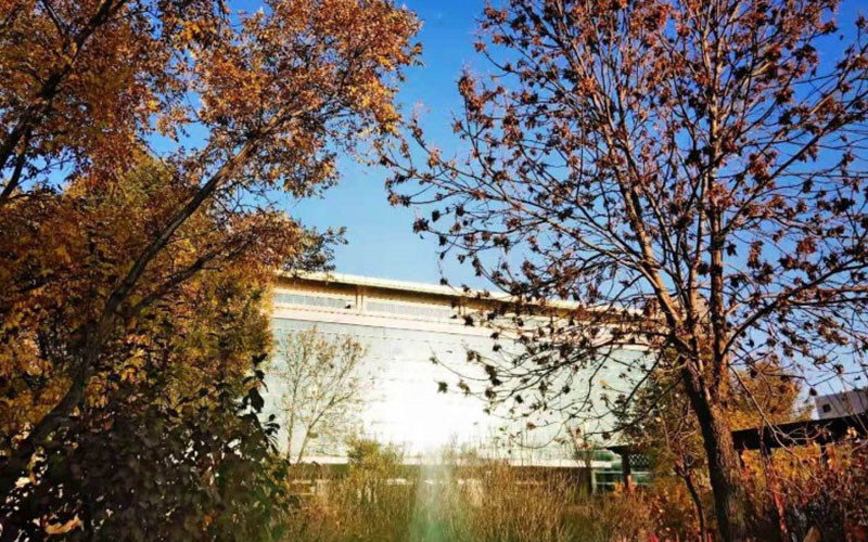 学院风景