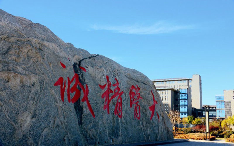 景观石