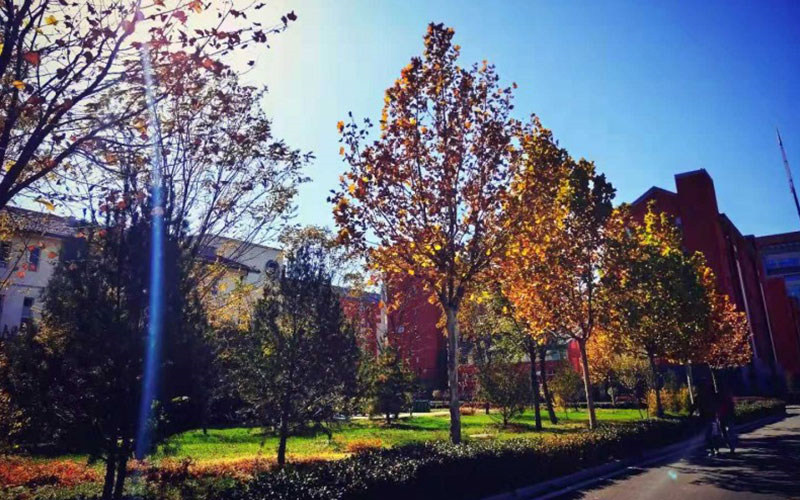 学院秋景
