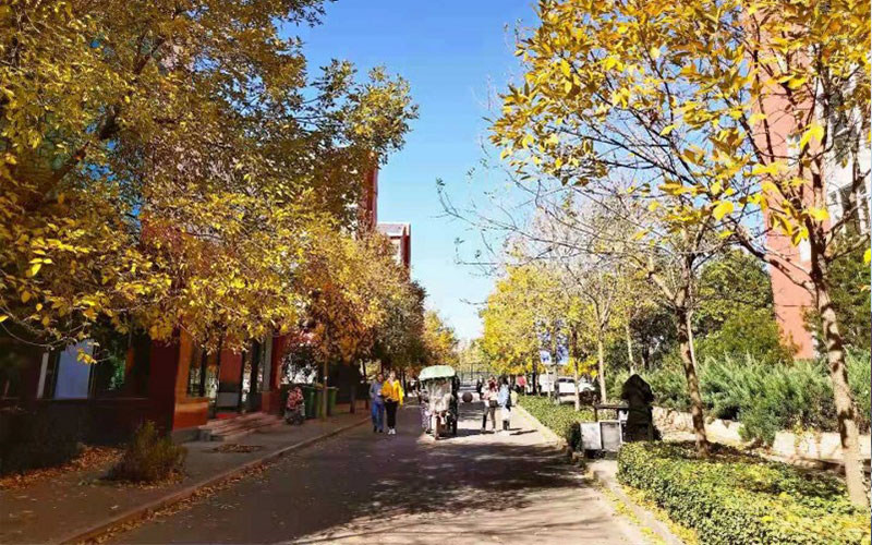 学院景色