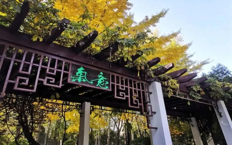 学院景色
