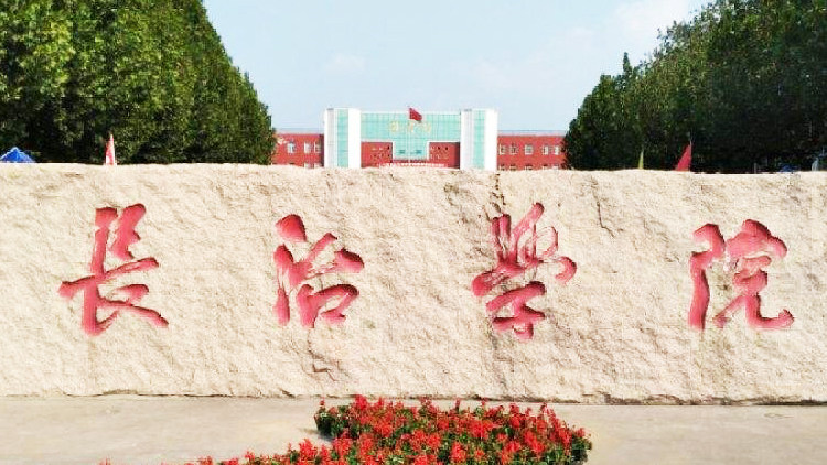景观石
