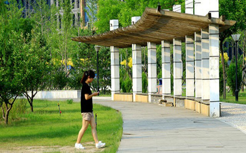 学院风光